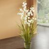 Dekoration BADER | Gras Im Topf