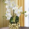 Dekoration BADER | Orchidee Im Topf