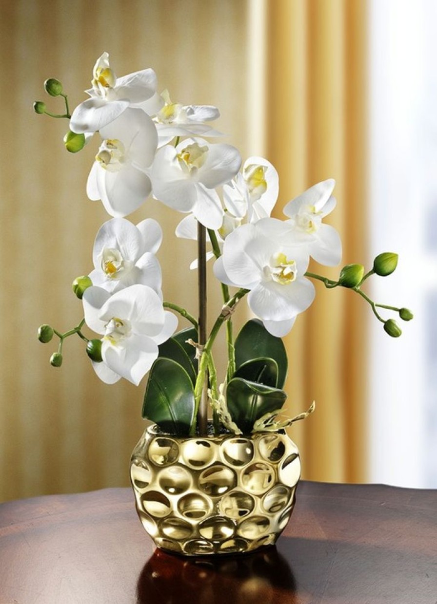 Dekoration BADER | Orchidee Im Topf