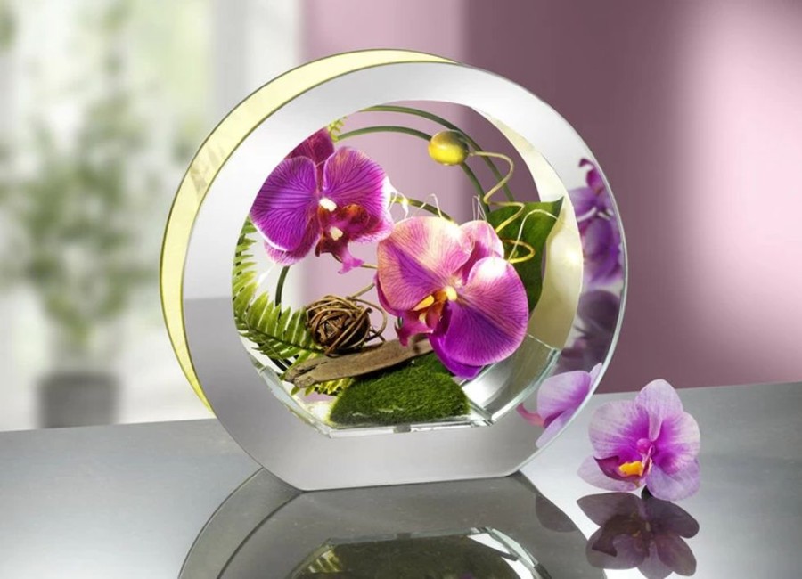 Dekoration BADER | Beleuchtete Orchidee Im Glas