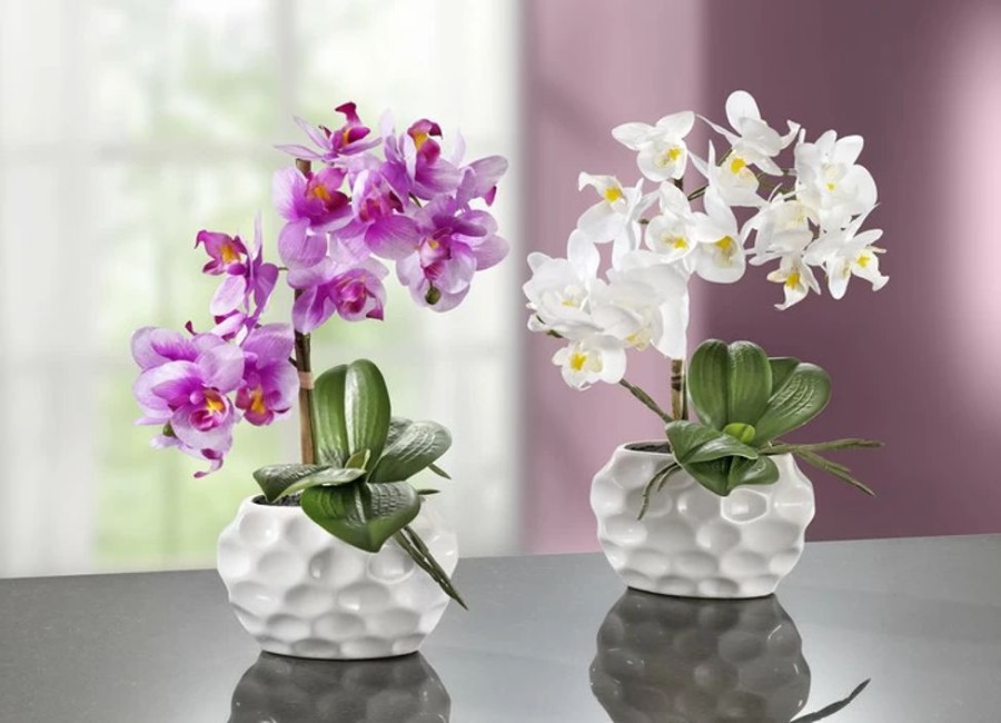 Dekoration BADER | Orchideen-Gesteck In Keramikvase