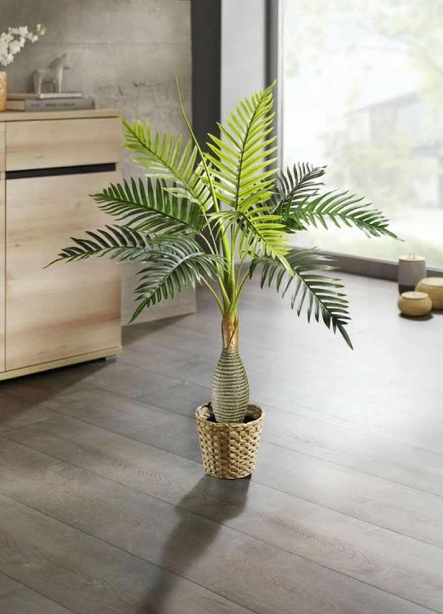 Dekoration BADER | Palme Im Topf