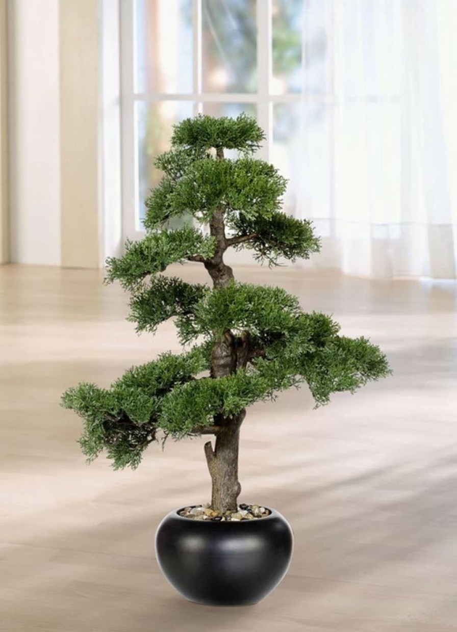 Dekoration BADER | Zeder-Bonsai