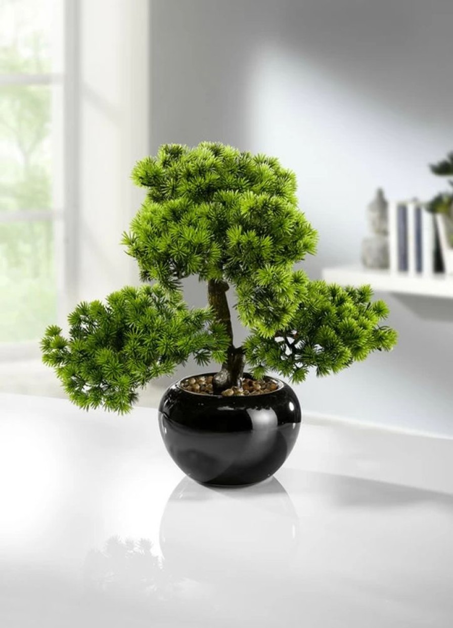 Dekoration BADER | Larchen-Bonsai