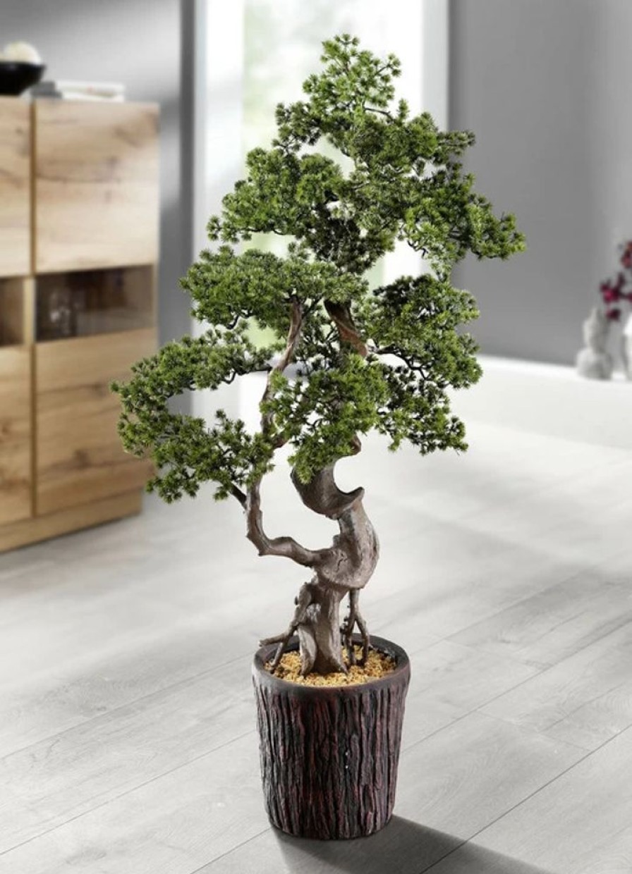 Dekoration BADER | Larchen-Bonsai Im Magnesiatopf