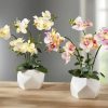 Dekoration BADER | Beleuchtete Orchidee Im Topf