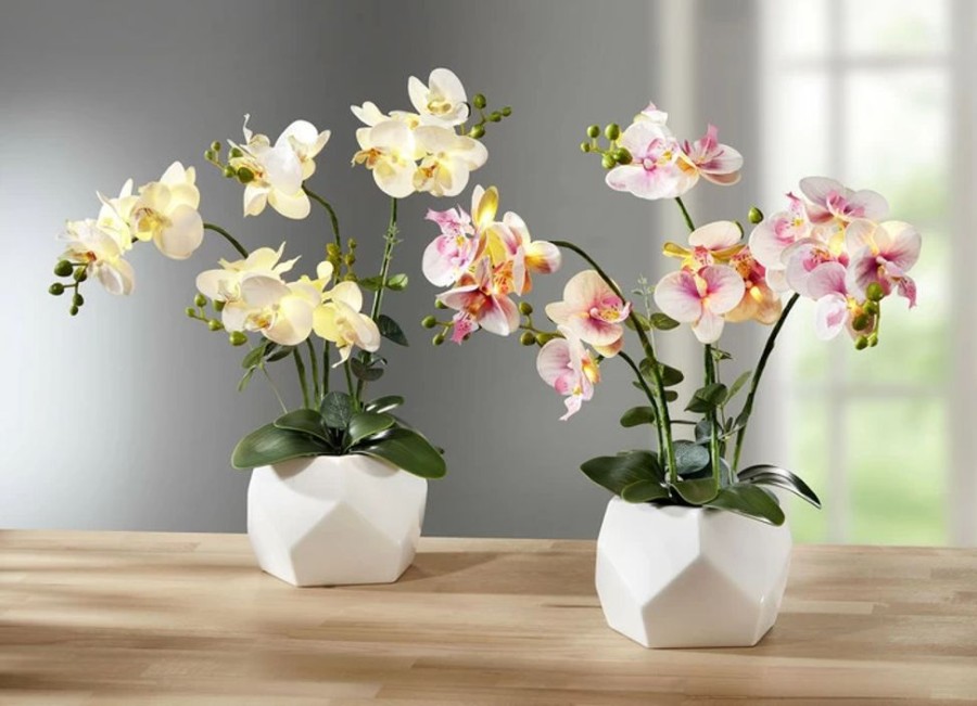 Dekoration BADER | Beleuchtete Orchidee Im Topf